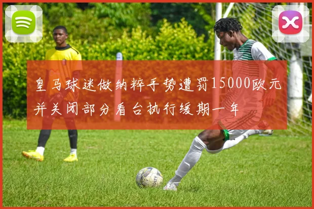 皇马球迷做纳粹手势遭罚15000欧元并关闭部分看台执行缓期一年